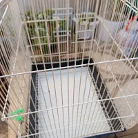 قفس پرنده|لوازم جانبی حیوانات|سبزوار, رضوی|دیوار