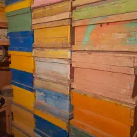 کندو و قاب کار کرده