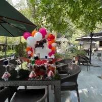 کارگر ساده -پارکبان