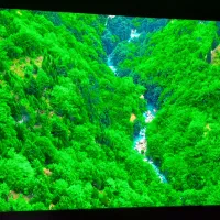 تلویزیون65 اینچ LG QNED 90|تلویزیون و پروژکتور|اندیشه, اندیشه فاز ۴|دیوار