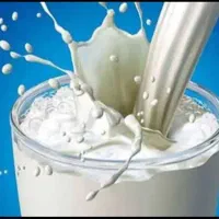 کافیمیت .شیرخشک.مالتو دکسترین پودرپنیر.موادنسکافه|خوردنی و آشامیدنی|تهران, شهرک ولیعصر شمالی|دیوار