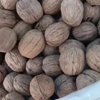 گردو آمریکای وارداتی