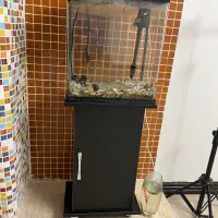 آکواریوم آماده|ماهی|گرگان, |دیوار