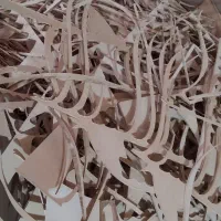 ضایعات و خاک اره چوب