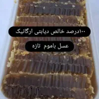 عسل صدرصد طبیعی سبلان|خوردنی و آشامیدنی|تهران, شوش (باغ آذری)|دیوار