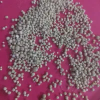 کود شیمیایی دی امونیم ۴۶ درصد گندم|خدمات باغبانی و درختکاری|بزینه رود, |دیوار