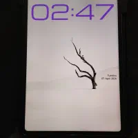 pad 6s pro