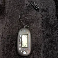 گیتار آنتونیو آپاراچیو|گیتار، بیس، امپلیفایر|تهران, جردن|دیوار