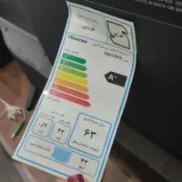 تلویزیون|تلویزیون و پروژکتور|رشت, دیلمان|دیوار