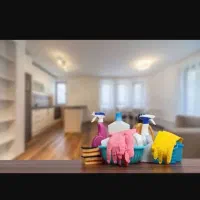 نظافتچی خانم