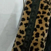 کاپشن پلنگی و مشکی ساده|لباس|میاندوآب, |دیوار