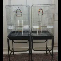 قفس ۱۰۳۳ پرنده عروس هلندی طوطی برزیلی گرینچیک راهب