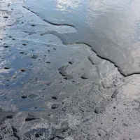 نصاب قیر گونی و ایزوگام|خدمات پیشه و مهارت|تنکابن, |دیوار