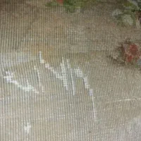 تابلوفرش دستبافت نو|تابلو فرش|مشهد, امیر المومنین|دیوار