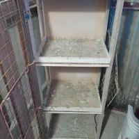 گنجه کفتر|لوازم جانبی حیوانات|تهران, اسفندیاری|دیوار