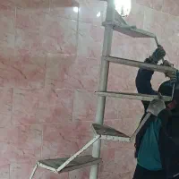 پله گرد آهنی|مصالح و تجهیزات ساختمان|لاهیجان, کاروانسرابر|دیوار