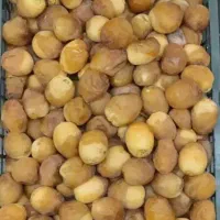 خرما و رطب برحی