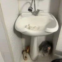 سرشور بزرگ ایستاده با شیر