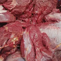 گوشت گوساله قیمت جهادی و عمده