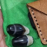 مهره انگشتر لول نر و ماده فعال