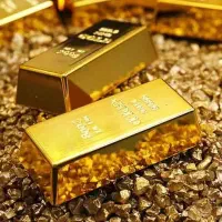 یک قطعه طلا پیدا شده