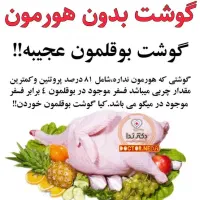 فروش بوقلمون به صرفه