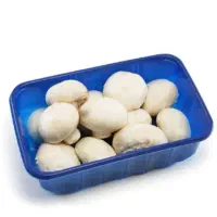 قارچ دکمه ای درجه ۱|عمده‌فروشی|بهبهان, |دیوار