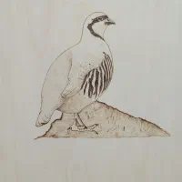 فروش یا معاوضه