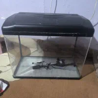 آکواریوم
