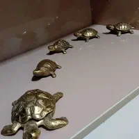 تزئین خانه|مجسمه، تندیس، ماکت|قائمشهر, |دیوار