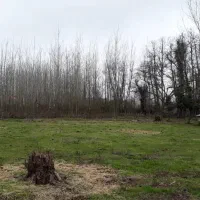 فروش‌ فوری زمین