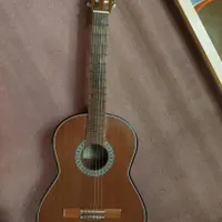 گیتار دالاهو