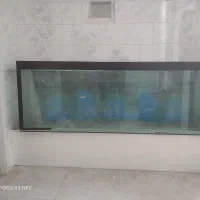 آکواریوم