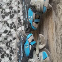 اسکیوتر