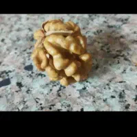 گردو|خوردنی و آشامیدنی|قم, چهل اختران|دیوار