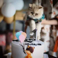 دوربین 80D توضیحات