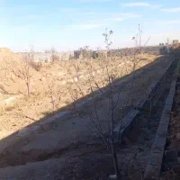 910-متر-زمین-شهر-زاویه-پشته-شهدای-گمنام