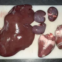 تعاونی تنضیم بازار زیر نظر بهداشت دامپزشکی|حیوانات مزرعه|مشهد, نوید|دیوار