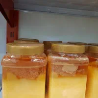 روغن حیوانی و روغن زیتون|خوردنی و آشامیدنی|قم, بلوار امین و ساحلی|دیوار