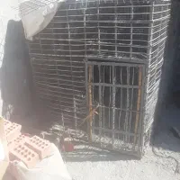 توری مرغی