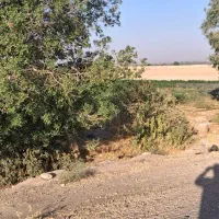 فروش 5000 متر زمین جنب اتوبان خوش قطعه|فروش دفتر صنعتی، کشاورزی، تجاری|اندیمشک, |دیوار