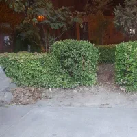 کار
