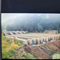 اجاره پرورش ماهی