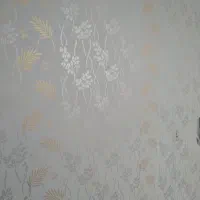 نقاشی منزل وطرح رنگ کاغذ دیواری|خدمات پیشه و مهارت|آستارا, |دیوار