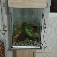 آکواریوم با پایه