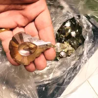 کریستال لوستر