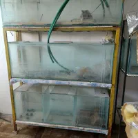 اکواریوم سالنی