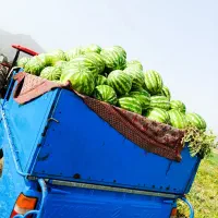 حمل بار به تمام نقاط کشور نیسان|خدمات حمل و نقل|کهنوج, |دیوار