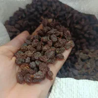 کشمش درجه یک آفتابی|خوردنی و آشامیدنی|بوشهر, |دیوار