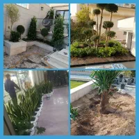تعویض خاک گلدان و باغچه کاری شخم و هرس در محل
